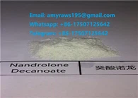 Nandrolo Decanooa Muscle Bodybuilding poeder injecteerbare steroïden