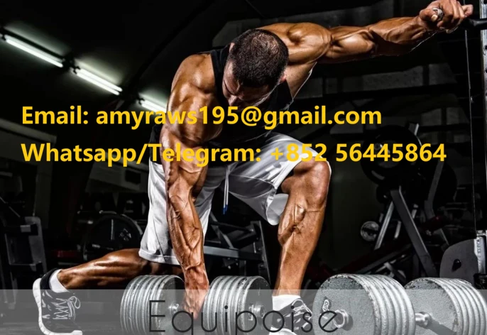 info-686-472